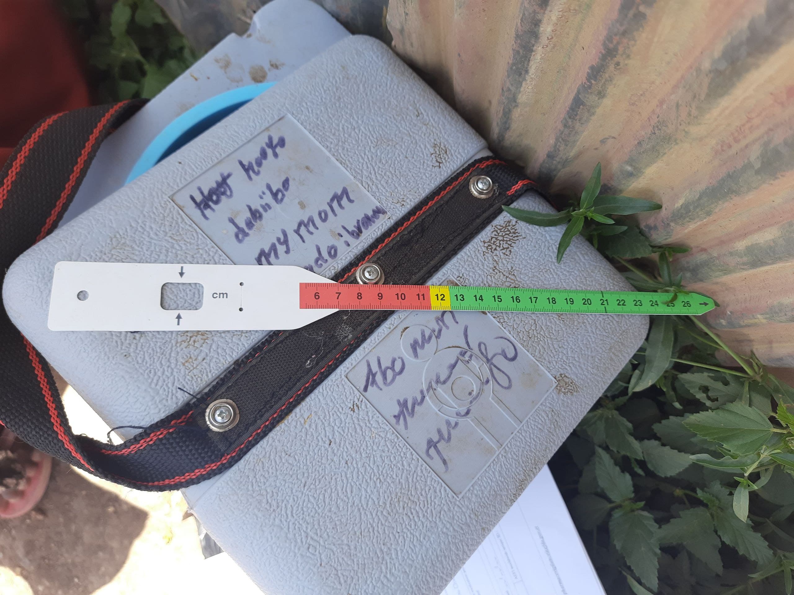 A mid-upper arm circumference (MUAC) measuring tape used by SHIFA for child malnutrition screening